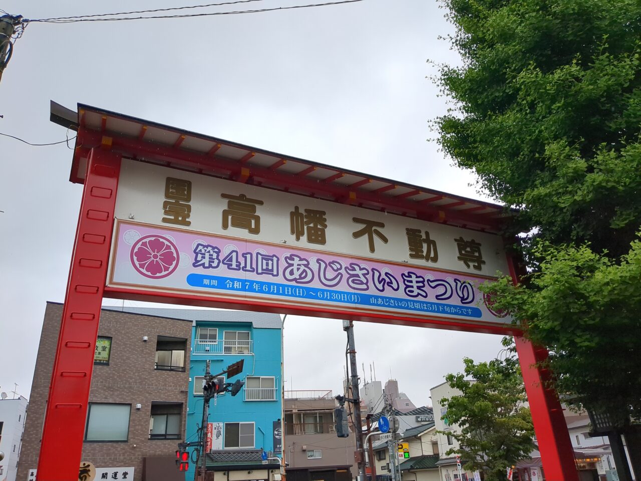 高幡不動尊　あじさい2025