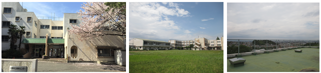 旧小学校跡地活用
