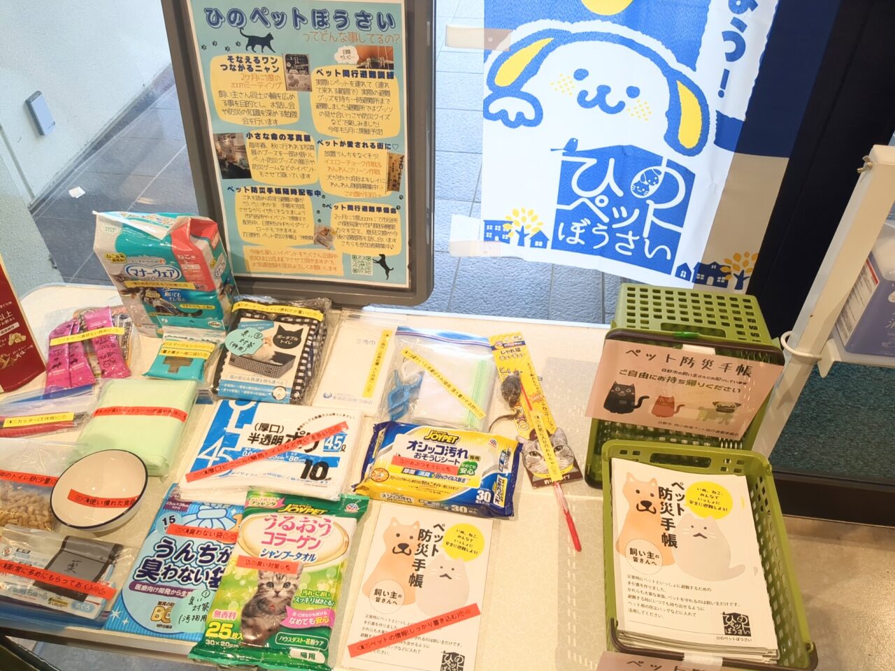保護ねこ譲渡会