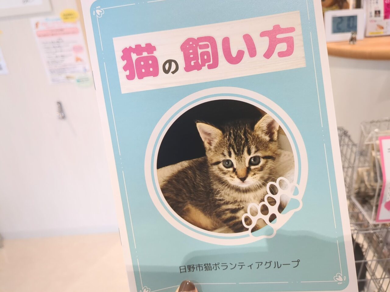 保護ねこ譲渡会
