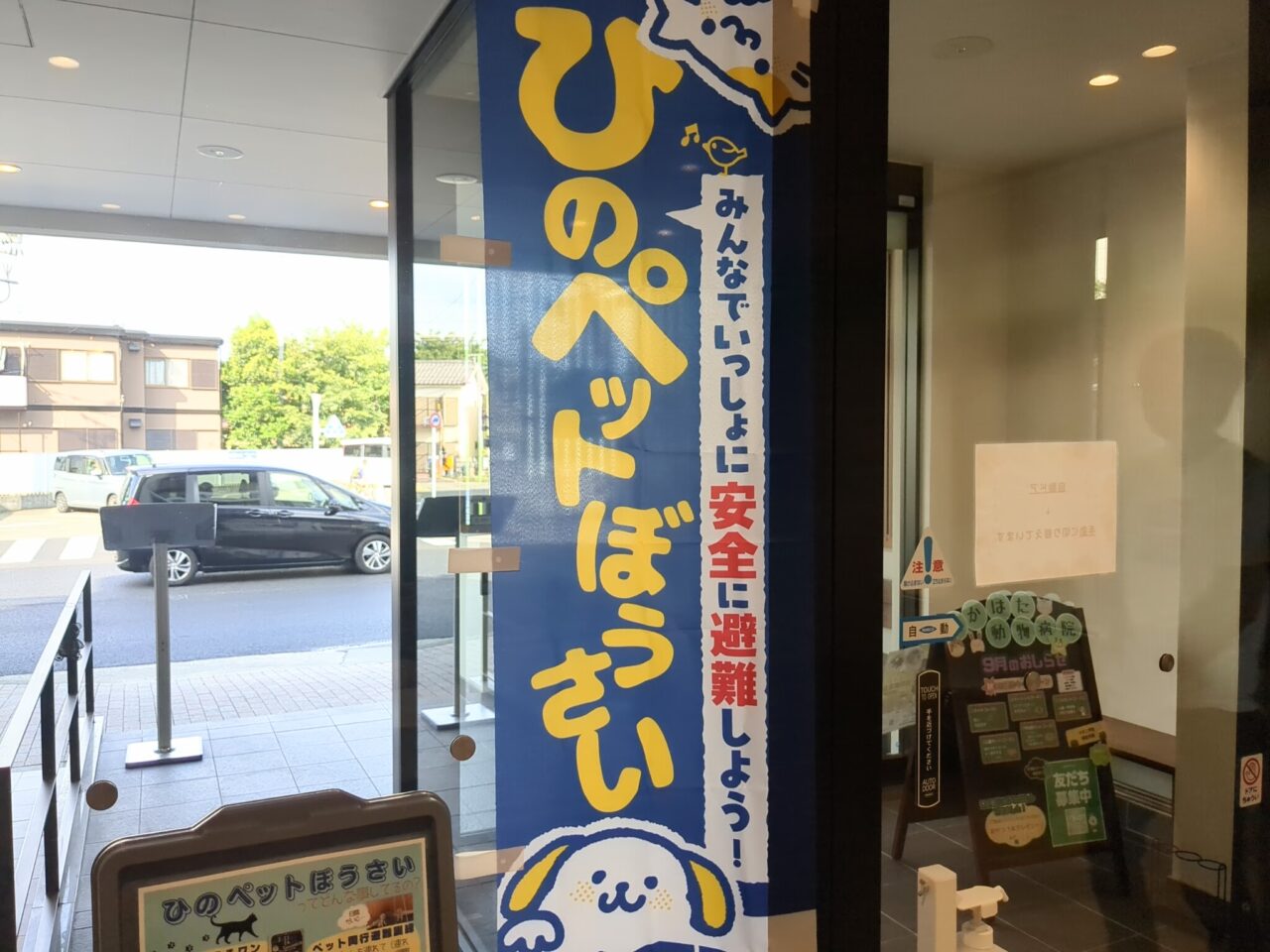 保護ねこ譲渡会