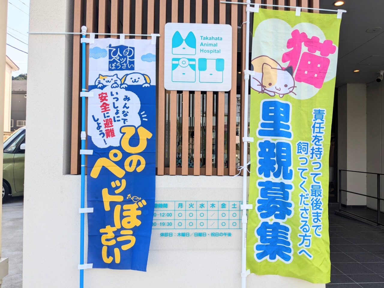 保護ねこ譲渡会