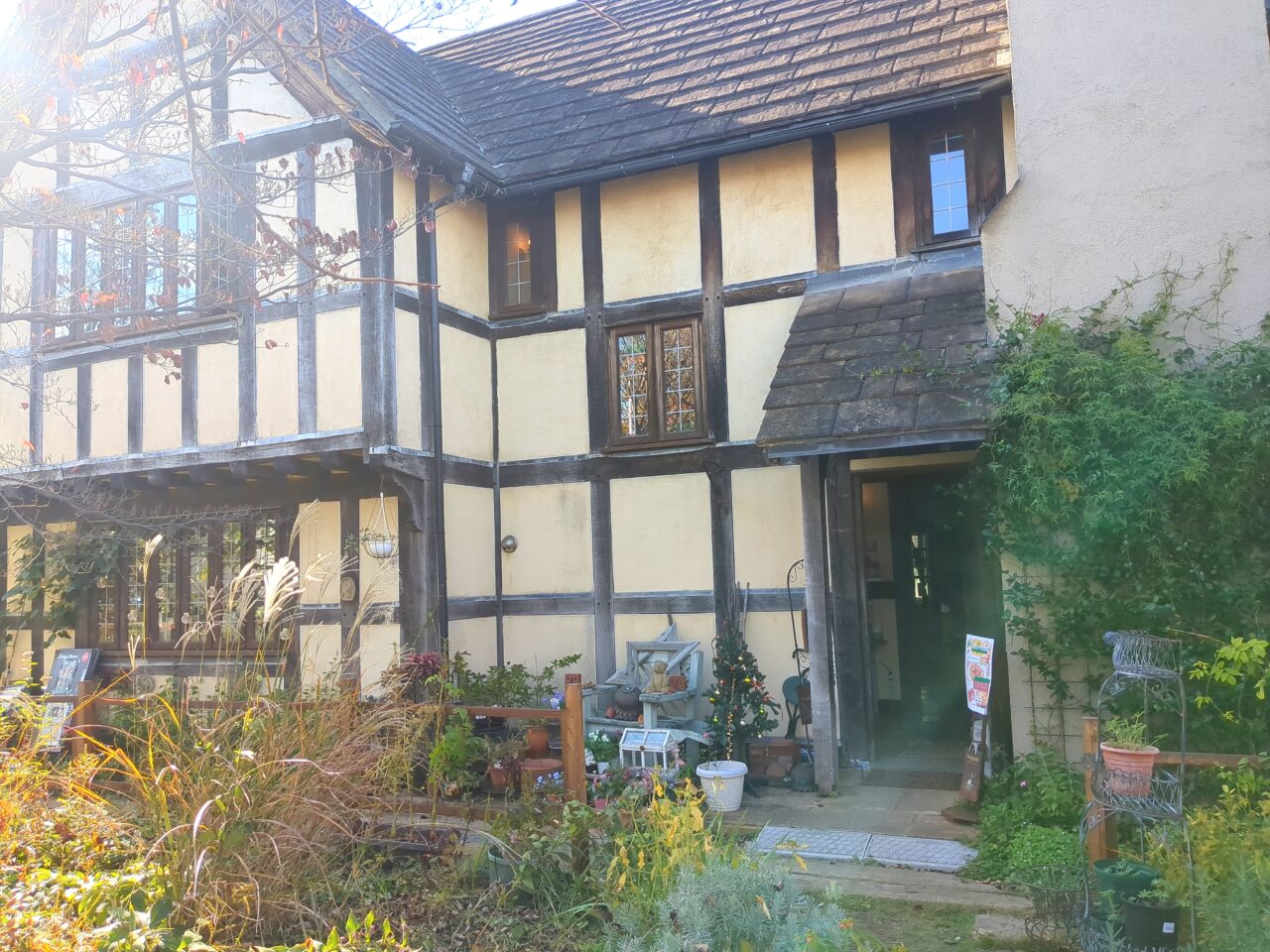 クレア　ウクライナランチ