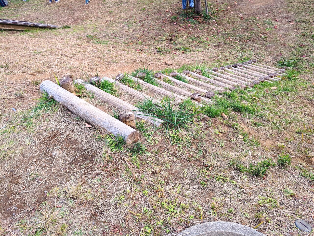 つくれば山公園