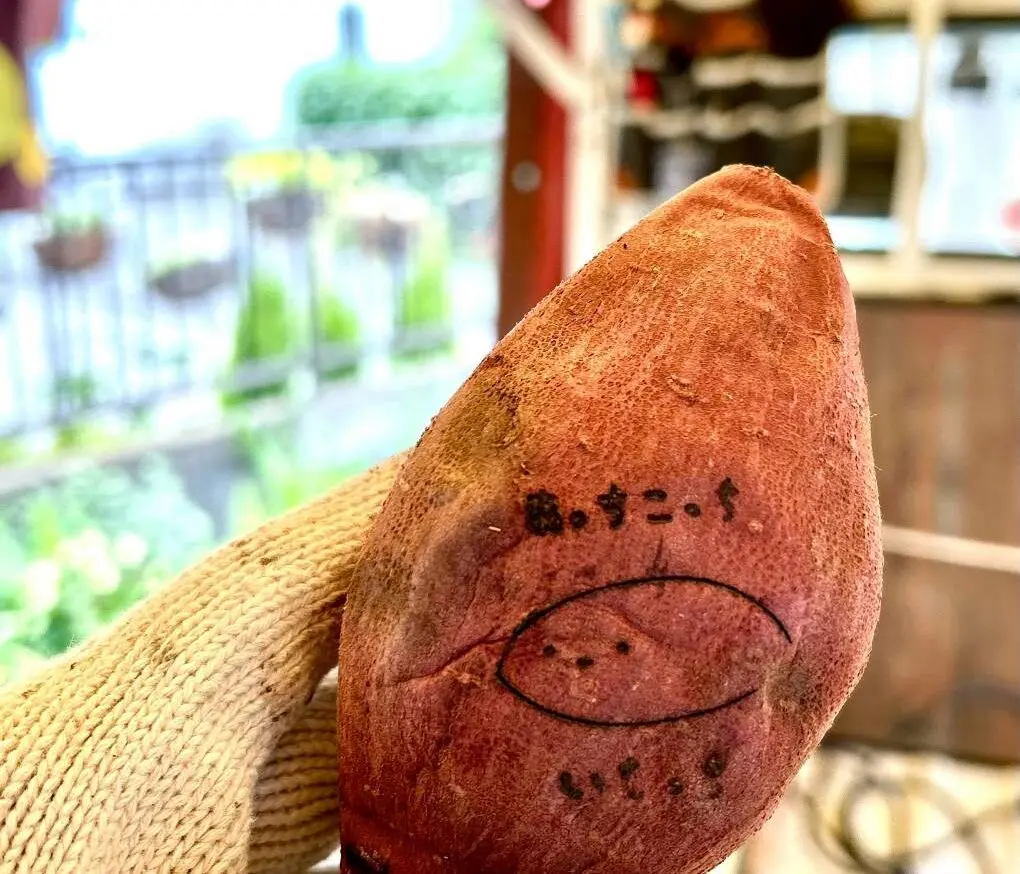 バレンタインPARTY