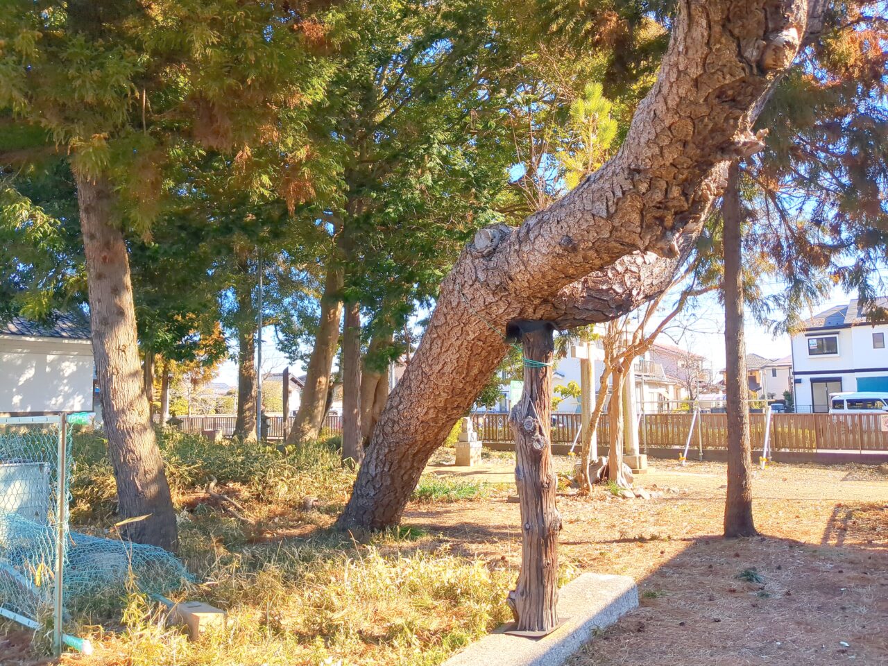 宮こども広場 別府神社