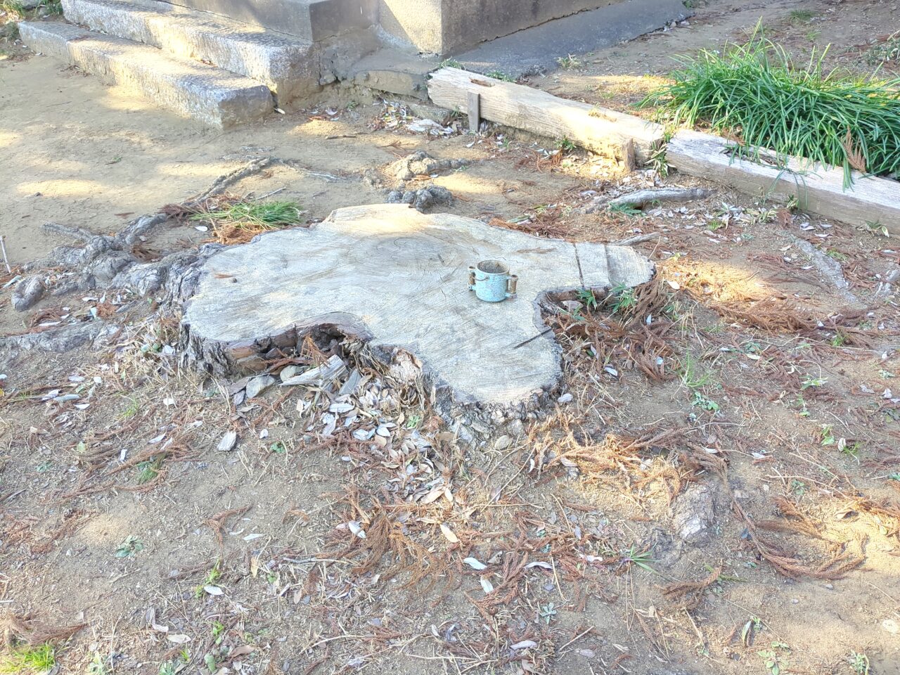宮こども広場 別府神社