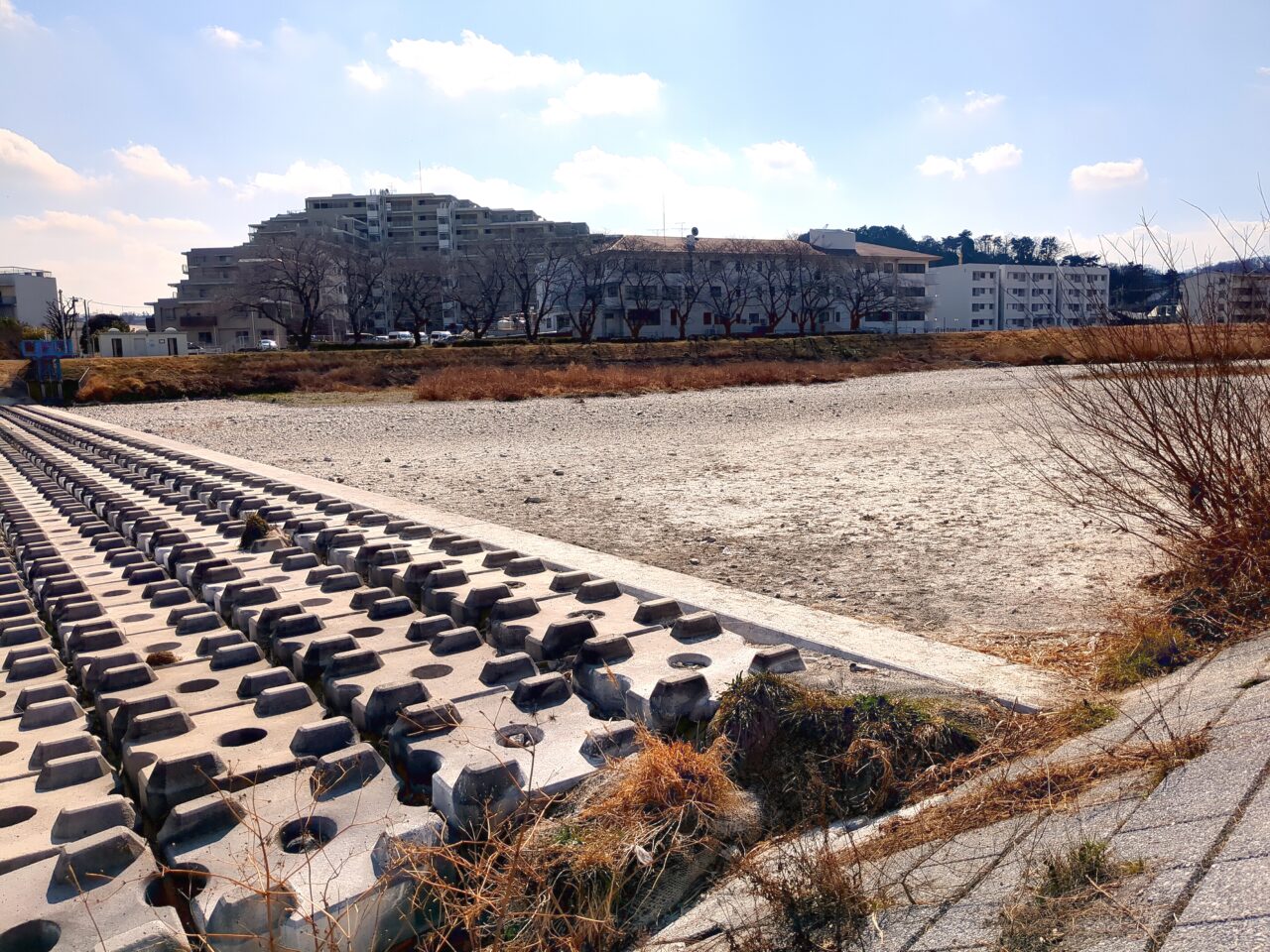 浅川 ふれあい橋