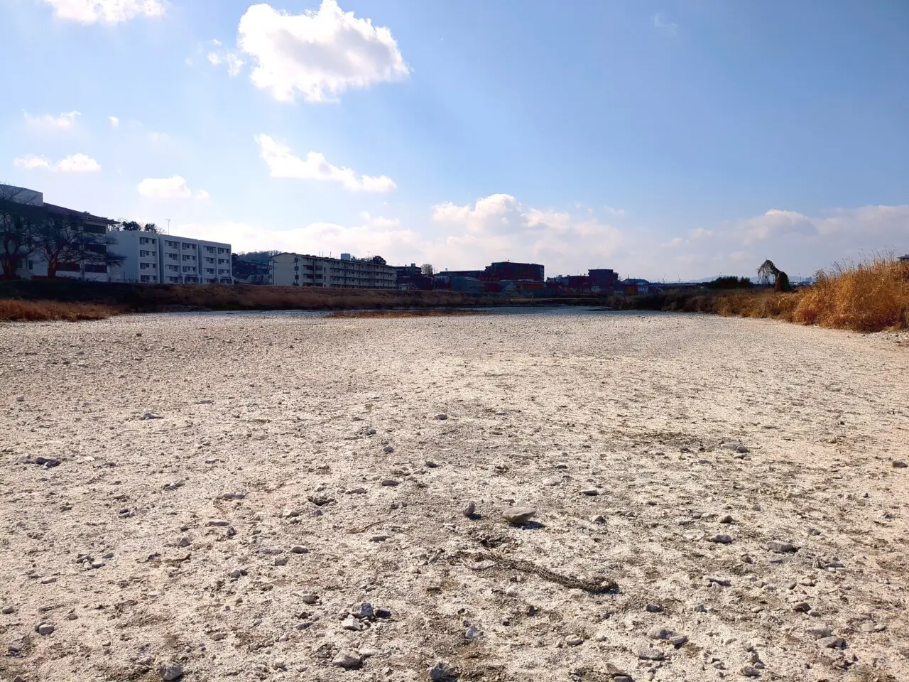 浅川 ふれあい橋