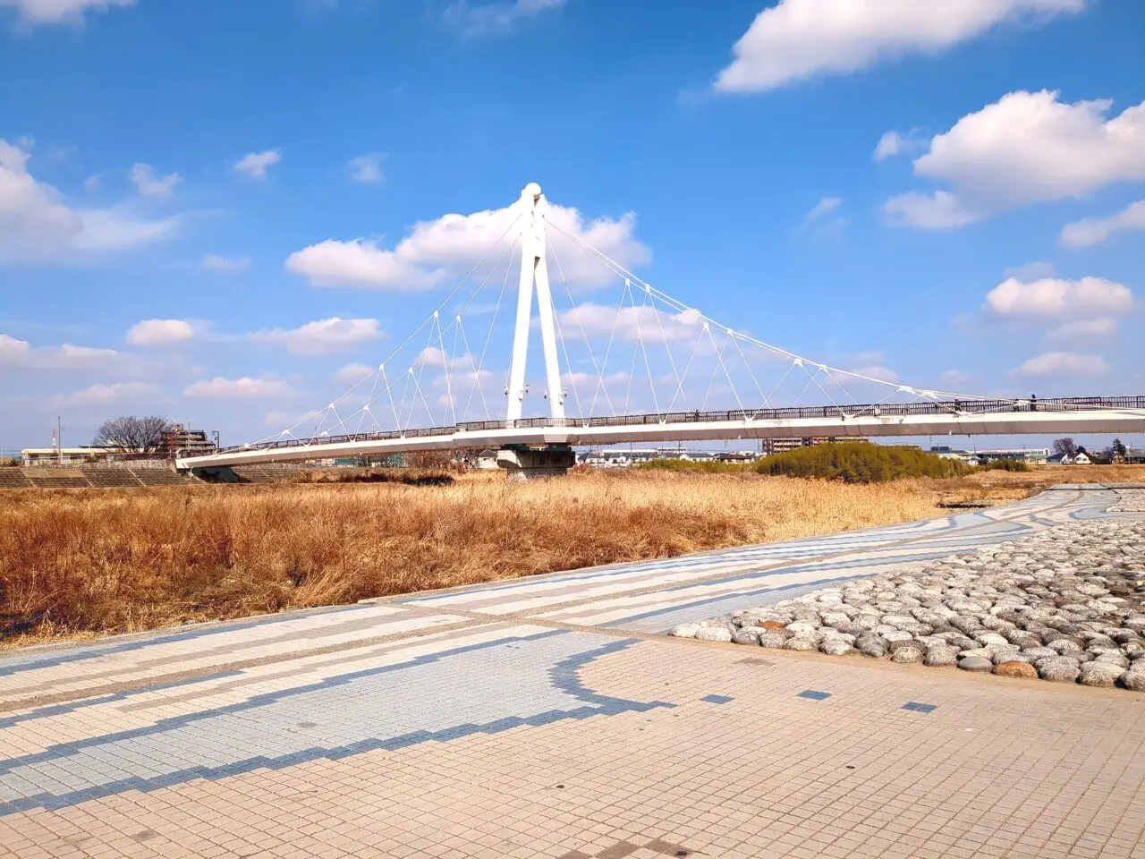 浅川 ふれあい橋