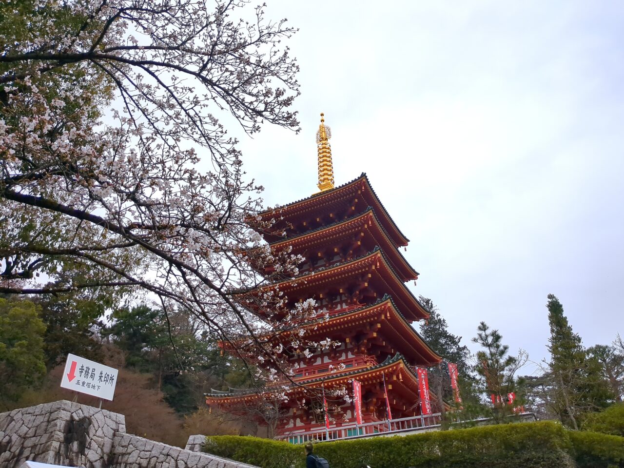 高幡不動尊 2026桜