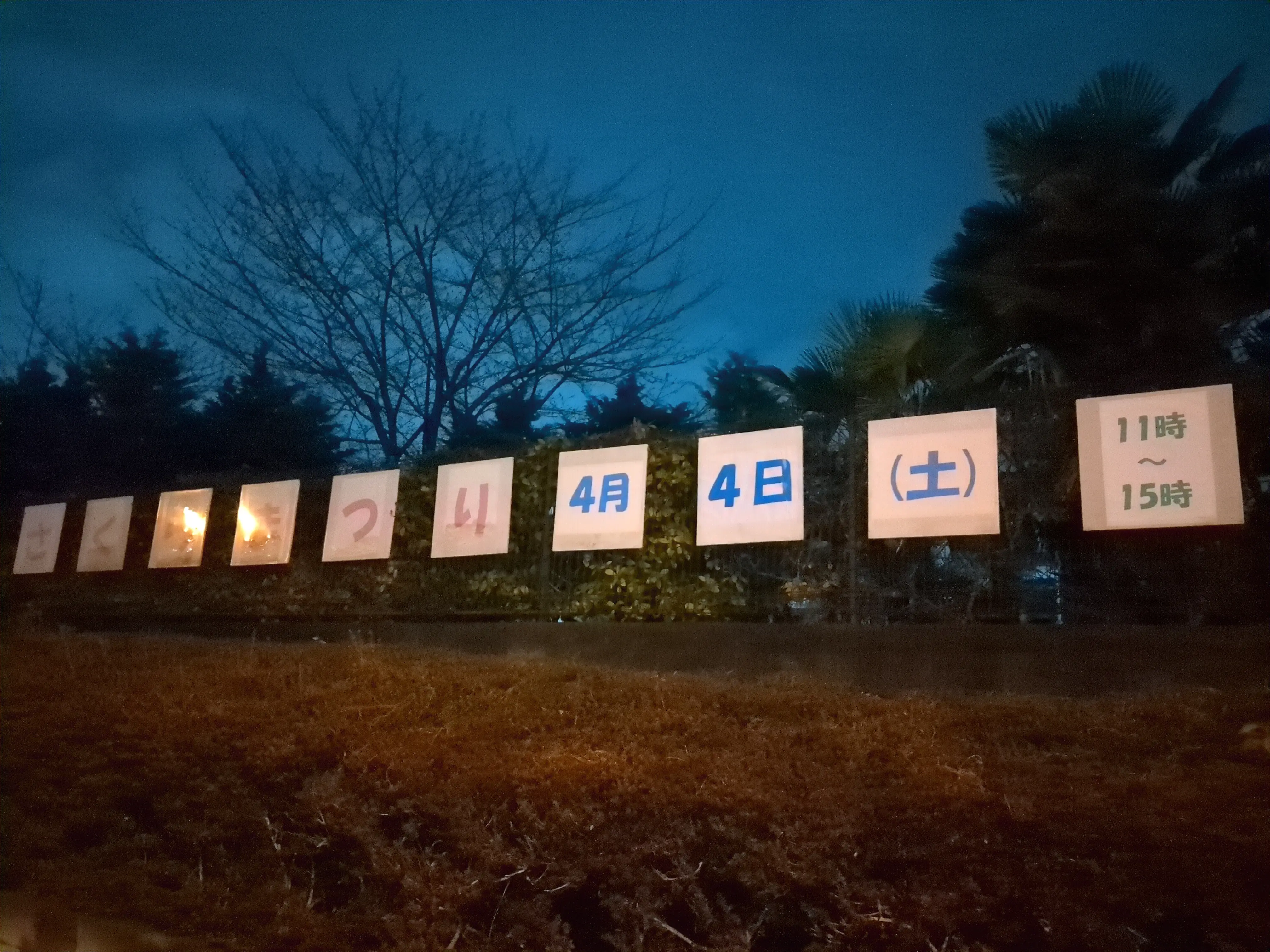 コニカミノルタ ライトアップ 2026