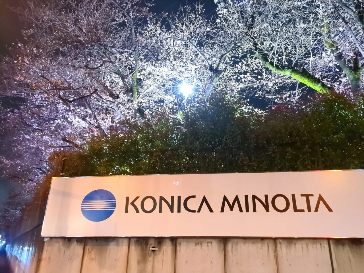 コニカミノルタ ライトアップ 2026