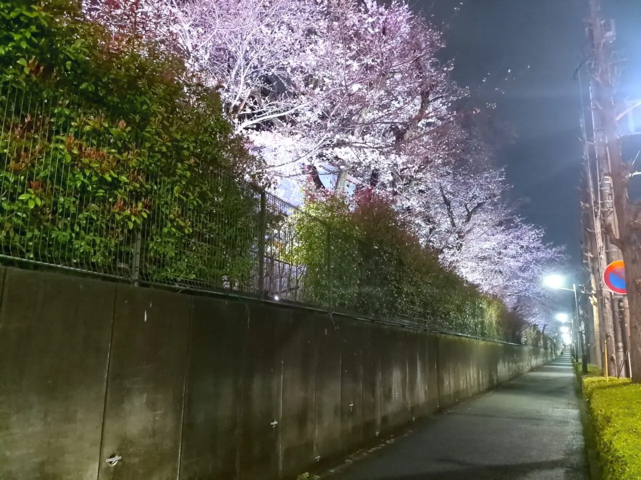 コニカミノルタ ライトアップ 2026