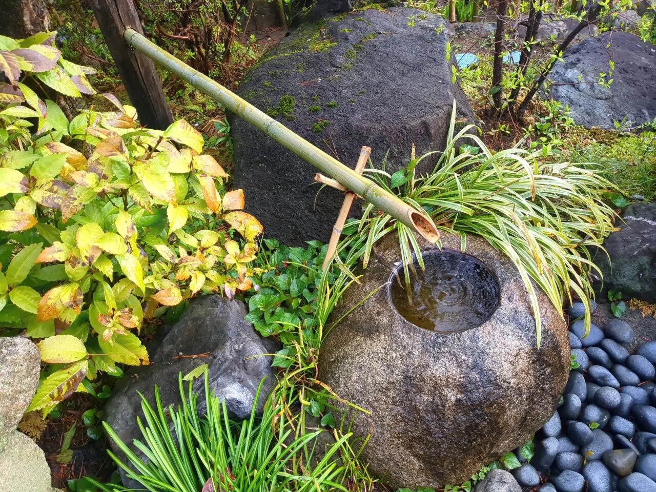 高幡不動尊