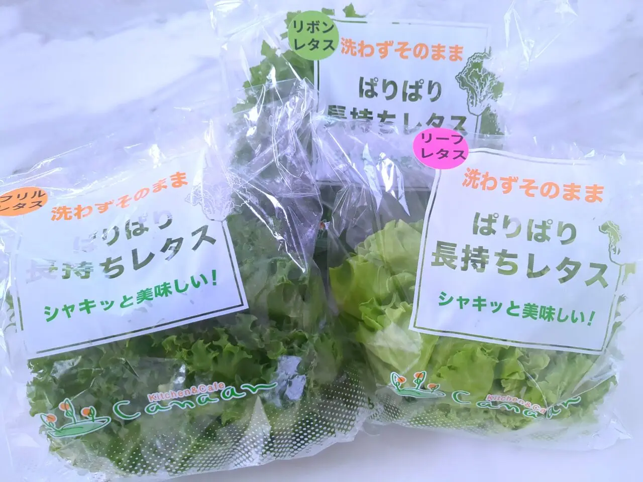 光の家 レタス