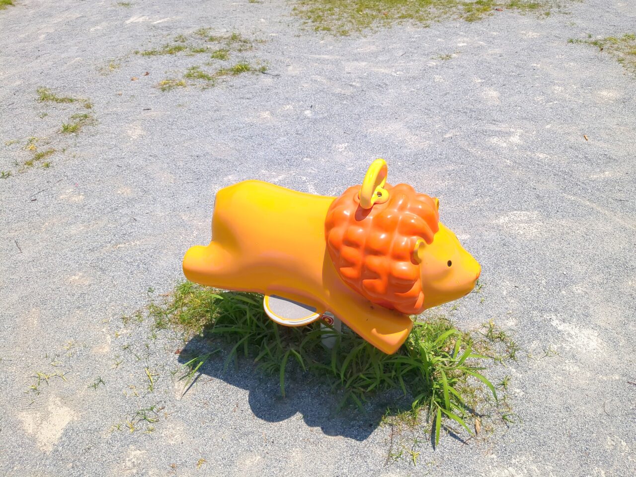 新井公園