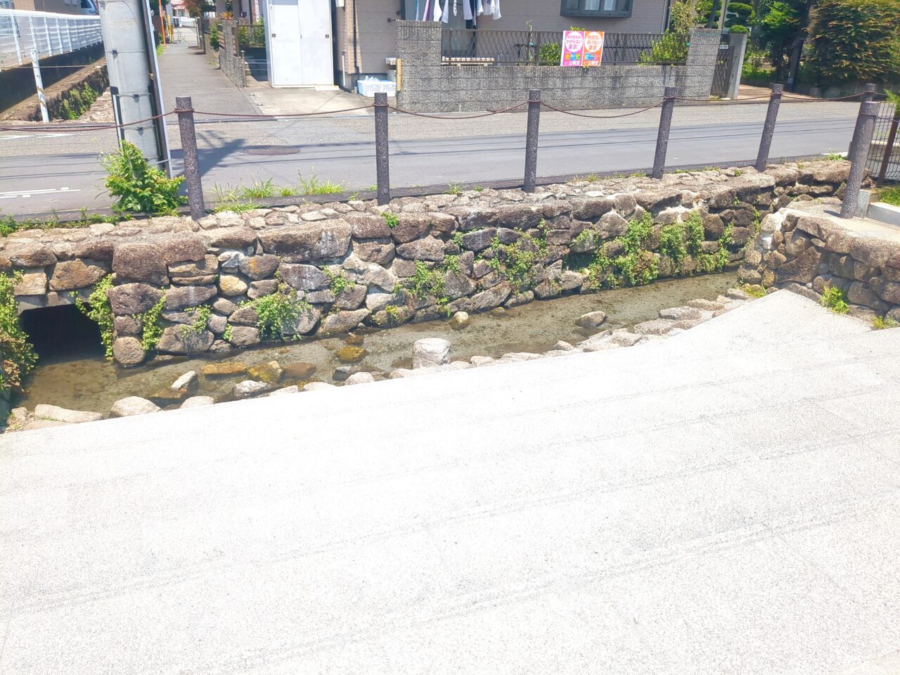 新井公園