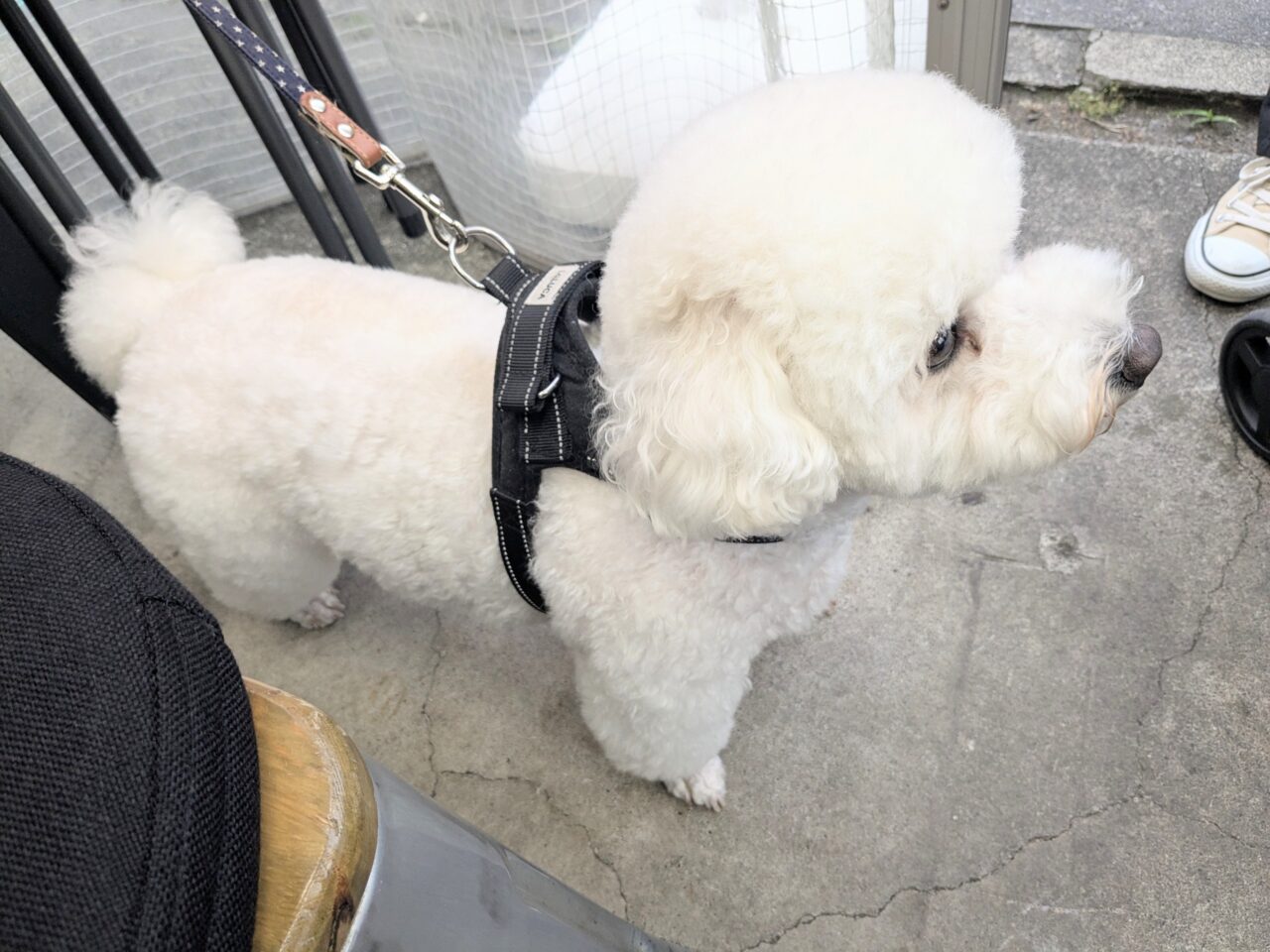 肉流通センター はなれ
