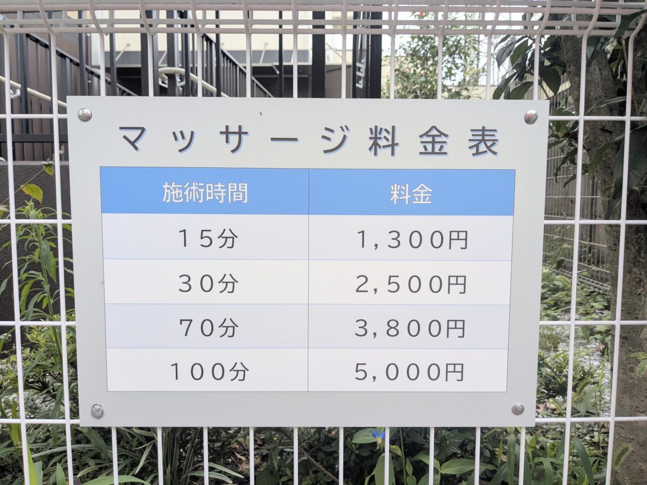 光の家 レタス